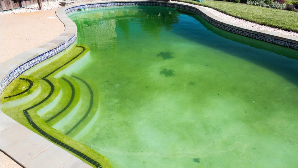 A pool with murky green water reflects ambient light. The steps are visible but appear hazy. The poolside features grass and patio tiles.